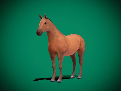 Realistic Brown Horse Standing on Green Background with Full Body View 3d model