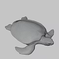 Gray Sea Turtle Swimming On Black Background With Detailed Features