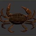 crab sea crab river crab hairy crab bread crab hermit crab big crab small crab marine animal fish 3d model