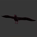 Black Bird With Spread Wings Standing on White Surface With Reflection 3d model