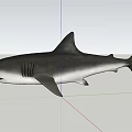 Grey Shark With Sharp Teeth And Dorsal Fin Swimming In Dark Background