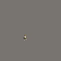 Cheetah Man In White Hoodie With Green Cargo Shorts And Sneakers