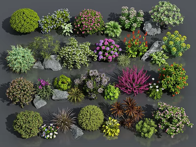 Various Colorful Flowers And Mixed Plants With Decorative Shrubs And Stones 3d model