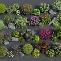 Various Colorful Flowers And Mixed Plants With Decorative Shrubs And Stones