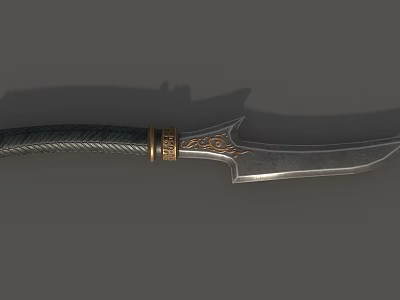 Decorative Weapon Dagger With Dark Braided Handle Golden Ornate Ring And Silver Sharp Blade 3d model