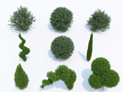 Spiral Round Conical and Irregular Green Shrubs for Garden Landscaping 3d model