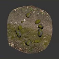 Circular Wooden Stone Ground With Green Grass Mossy Stones And Fallen Leaves