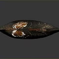 Shell Cartoon Pearl Pink Red Shell Mussel Clam Freshwater Pearl Seawater Pearl Nanyang Pearl 3d model