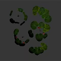 Green Leafy Plants With Large Green Leaves And Red Flowers On Dark Background