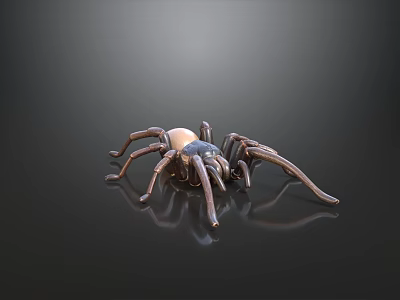 Realistic Brown Spider With Light Colored Abdomen On Dark Reflective Surface 3d model