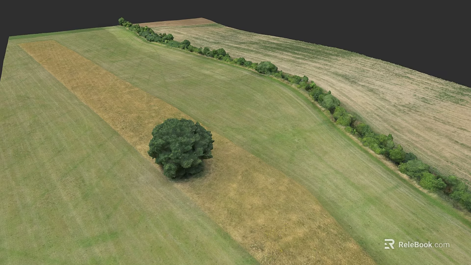 Microtopography Landscape Design Featuring Green Yellow Grass Single Large Tree And Tree Line 3d model 