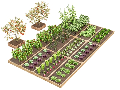 New Chinese Courtyard Sitches Vegetable Garden Vegetable Planting Garden Fruit Vegetable Garden Planting Area model