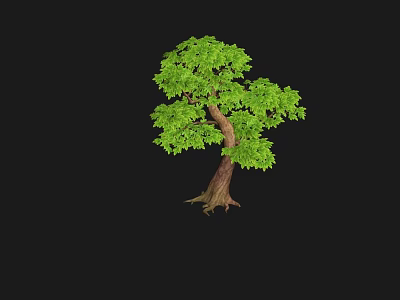 Vibrant Green Tree with Lush Foliage and Brown Trunk Against Black Background 3d model