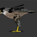 Eagle Figurine With Spread Wings Yellow Claws And Gray Black Feathers On Gray Background