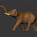 Brown Elephant Toy With Raised Trunk And Yellow Object In Mouth On Black Background