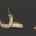 Brown Patterned Snakes Coiled and Long Stretched Body on Dark Gray Background 3d model