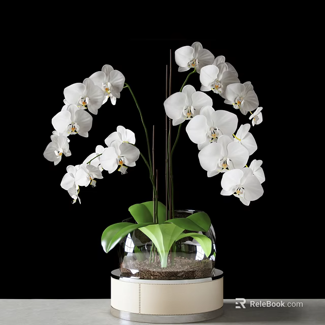 White Orchid Bonsai Plant With Green Leaves In Transparent Glass Pot 3d model 