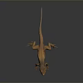 Detailed Brown Orange Spotted Lizard Standing On Shiny Dark Reflective Surface 3d model
