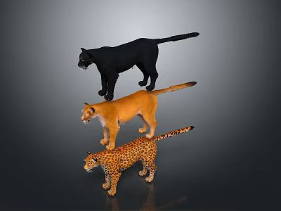 Leopard Wild Leopard Cheetah Mountain Leopard Leopard Carved Leopard Metal Carved Leopard Ornaments Cartoon Leopard African Leopard 3d model