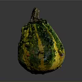 Vibrant Green and Yellow Squash with Bumpy Surface and Unique Texture 3d model