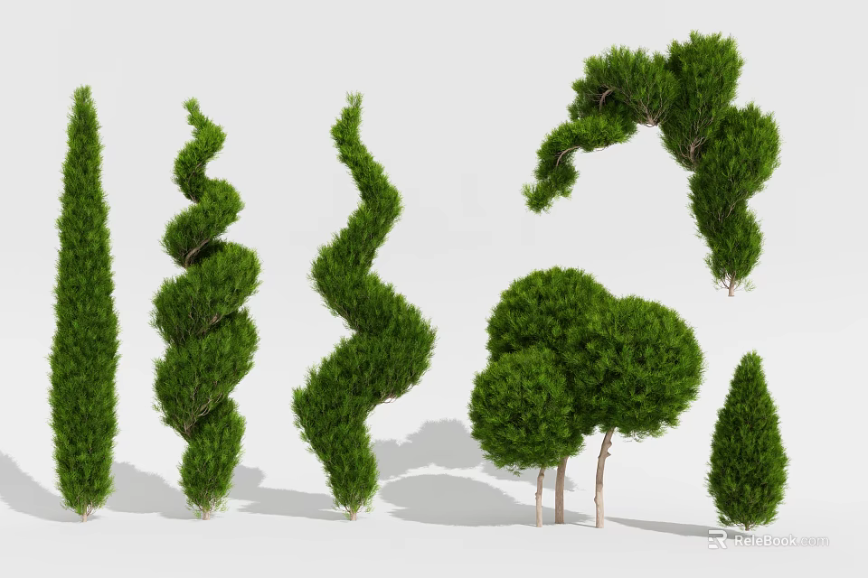 Ornamental Trees Featuring Spiral Arched and Rounded Shapes for Garden Landscape Design 3d model 