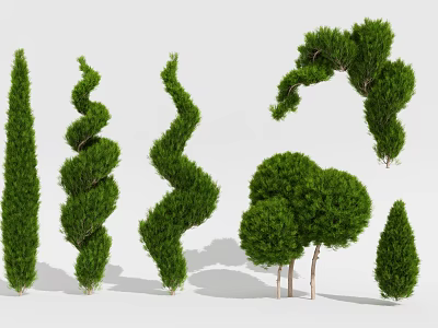 Ornamental Trees Featuring Spiral Arched and Rounded Shapes for Garden Landscape Design 3d model