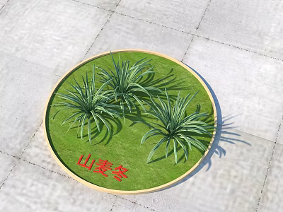 Round Green Carpet With Plants Wooden Border And Shanmaidong Inscription 3d model