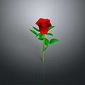 Red Rose Plant with Green Stem and Leaves on Gray Background with Clear Reflection