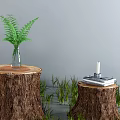 Wooden Tree Stumps Decor With Grass Fern Plant And Stool Glass Book Candle