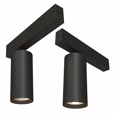 Modern Black LED Downlights And Spotlights With Sleek Metal Ceiling Lighting Design 3d model