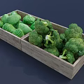 Fresh Green Broccoli and Cabbage Stored in Wooden Crate Container
