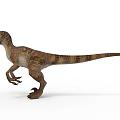 Velociraptor Dinosaur Standing With Striped Skin Long Tail And Open Mouth