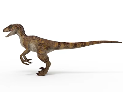 Velociraptor Dinosaur Standing With Striped Skin Long Tail And Open Mouth 3d model