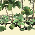 Diverse Tropical Plant Collection Featuring Palm Trees Large Leafy Greenery And Various Ferns