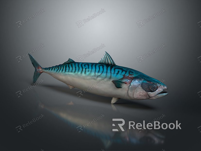 Catfish Carp Sturgeon Bass Freshwater Fish Various Carp Grass Carp Crucian Carp model