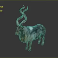 Wild Goat With Large Curved Horns And Long Shaggy Black White Fur