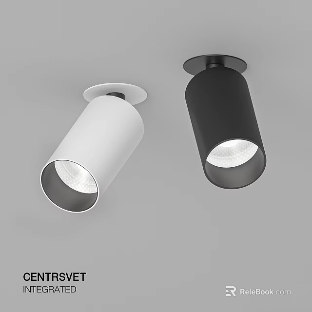Modern White And Black Ceiling Mounted Downlights For Indoor Lighting 3d model 