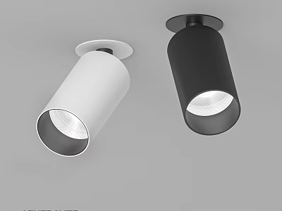 Modern White And Black Ceiling Mounted Downlights For Indoor Lighting 3d model