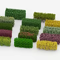 Colorful Shrubs with Different Shapes and Green Yellow Purple Hues for Garden Landscaping