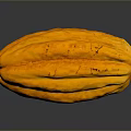 Mango Cocoa Bean Cocoa Fruit 3d model