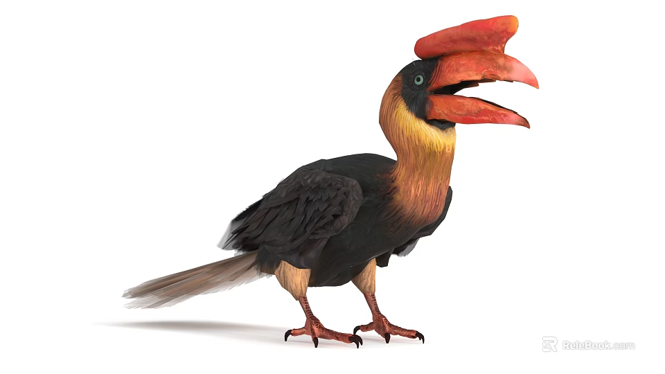 Vibrant Flying Bird With Large Red Beak And Black Yellow Feathers Standing 3d model 