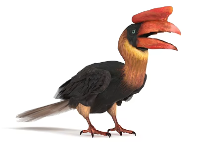 Vibrant Flying Bird With Large Red Beak And Black Yellow Feathers Standing 3d model