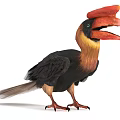 Vibrant Flying Bird With Large Red Beak And Black Yellow Feathers Standing