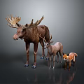Group of Wild Moose Deer and Fox Standing Together on Gray Background