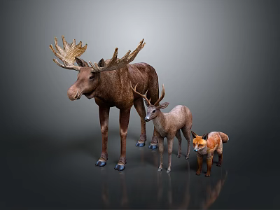 Group of Wild Moose Deer and Fox Standing Together on Gray Background 3d model