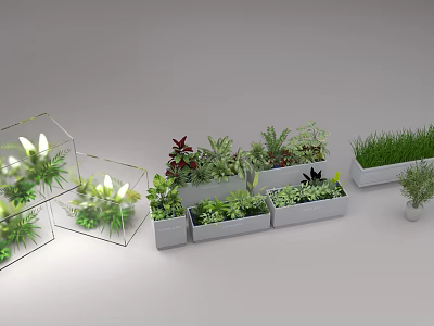 green plant 3d model green plant 3d model