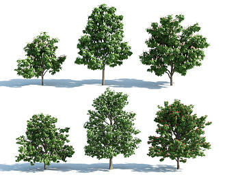 The Modern Tree 3d model