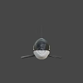 Realistic Black And White Orca Swimming In Blue Background