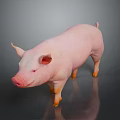 Pink Pig Standing on Smooth Surface Against Gray Background with Clear Reflection 3d model