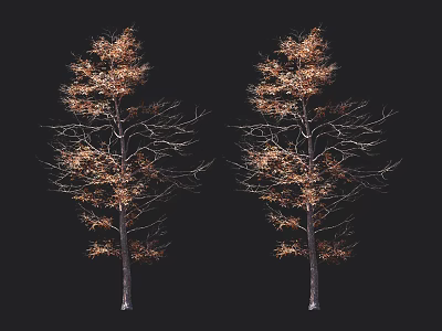 Two Arbor Trees Featuring Branches With Sparse Golden Yellow Leaves On Black Background 3d model